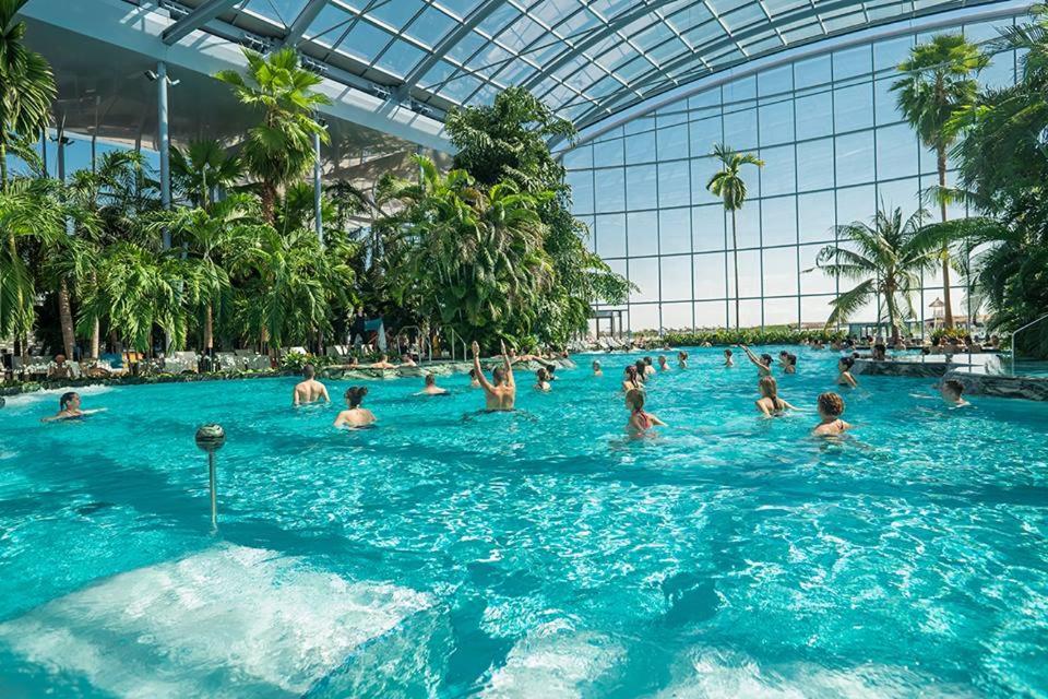 Casuta Bradulet - Aeroport Otopeni & Therme Balotesti Exterior photo